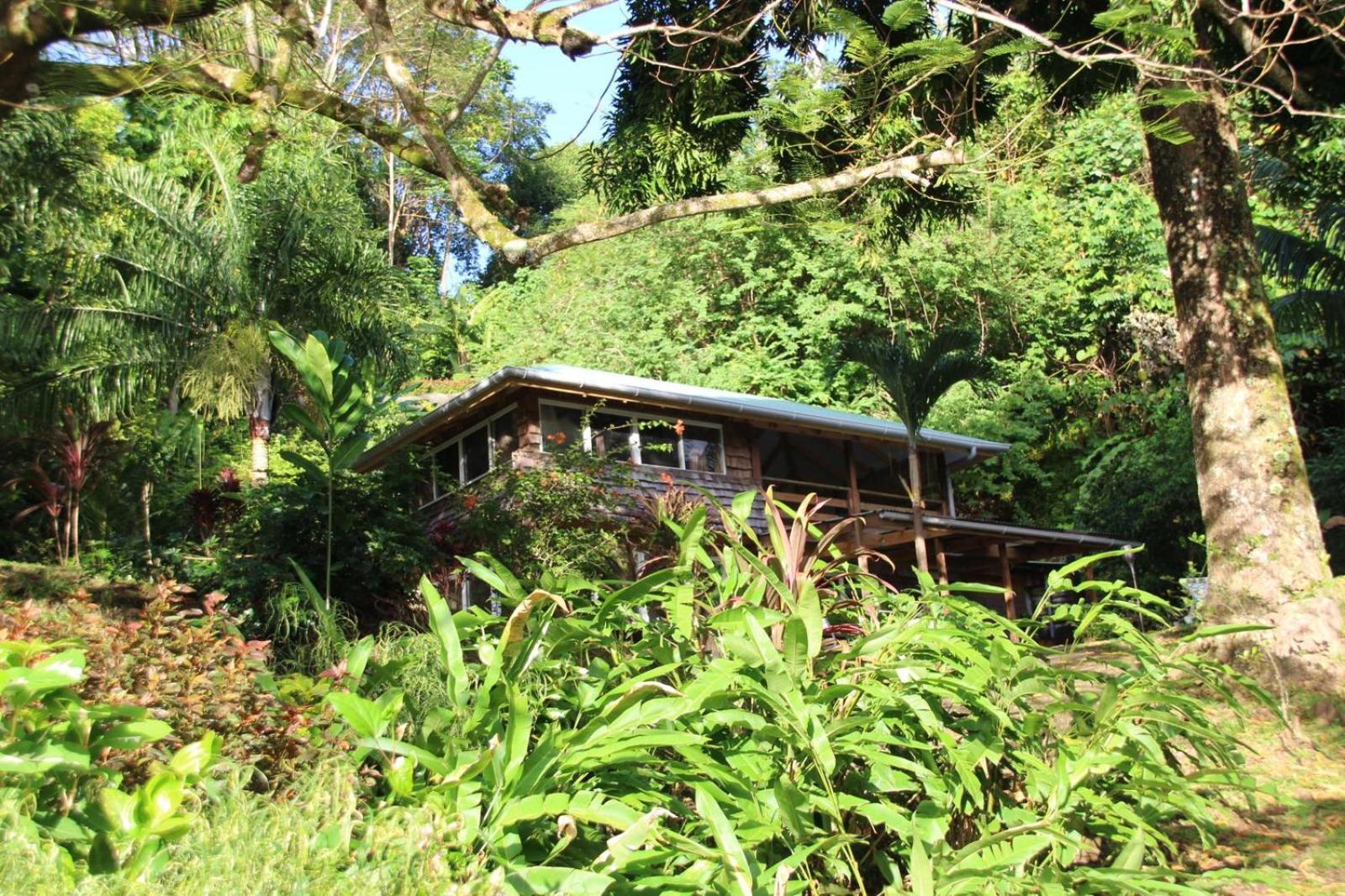 Huahine Manta Lodge Avec 4X4 Optionnel Haapu Exterior foto