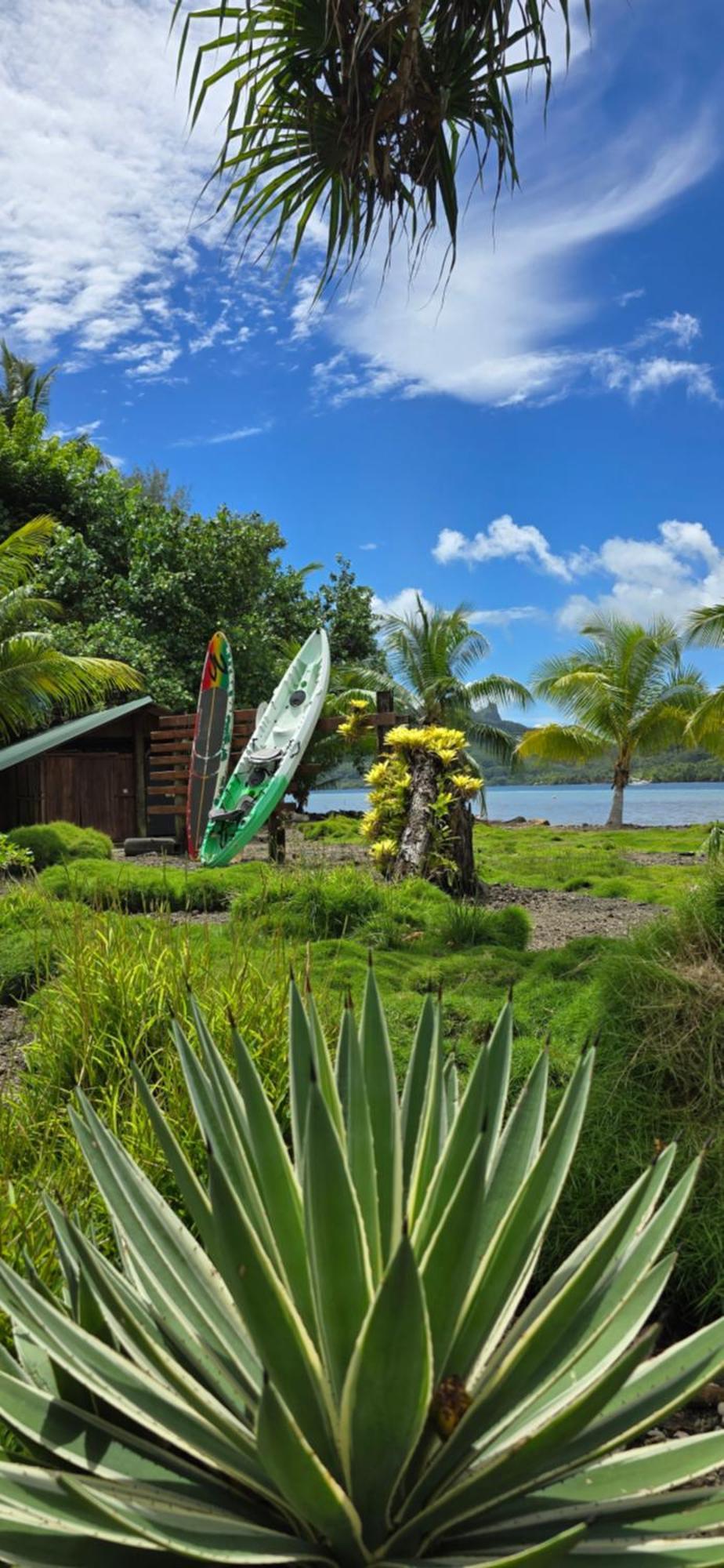 Huahine Manta Lodge Avec 4X4 Optionnel Haapu Exterior foto